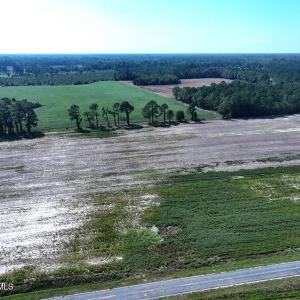 Tract #8 Cowpen Swamp Rd