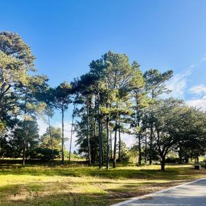 lot from road