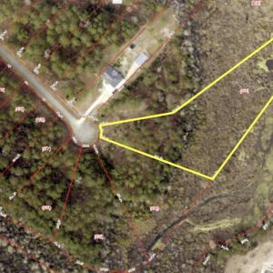 131 GIS Topo Pic