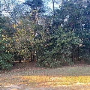 408 Lake Pines-Road Frontage