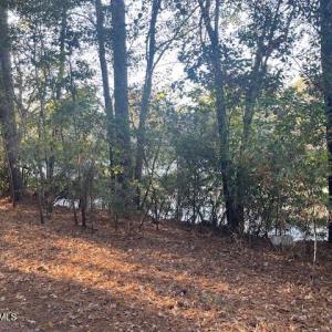 Back of lot-Lake View
