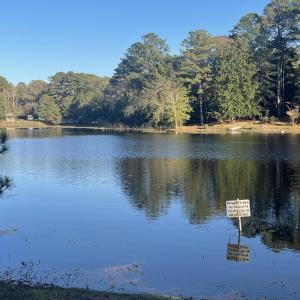 View of Lake Frontage