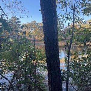 Back of lot-Lake View