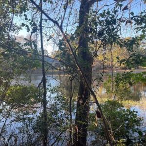 Back of lot-Lake View