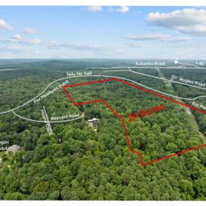 Tallyho Trl - aerial photo outline