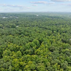 Aerial view Southeast
