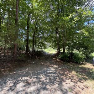Easement off Tallyho