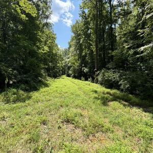 sewer clearing