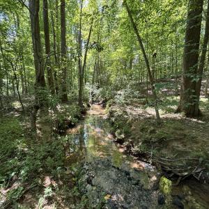 stream