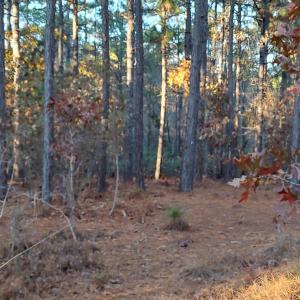 IMG_20241116_161944302_HDR
