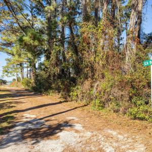 3-web-or-mls-1S3A4355