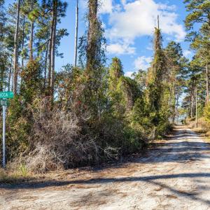 4-web-or-mls-1S3A4361