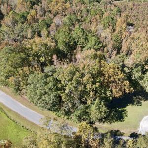 Aerial View of property