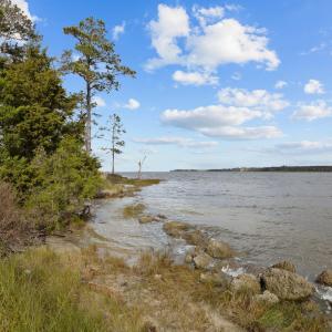 1-web-or-mls-1S3A0048