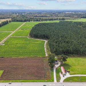 5-web-or-mls-DJI_20241009143936_0334_D