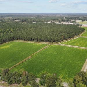 20-web-or-mls-DJI_20241009144914_0360_D