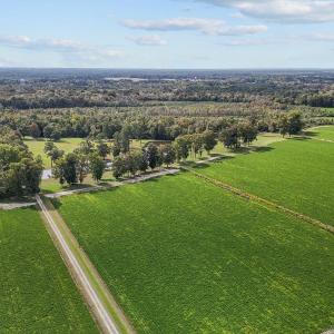 19-web-or-mls-DJI_20241009144819_0357_D