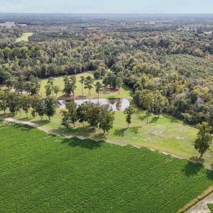 24-web-or-mls-DJI_20241009145117_0367_D