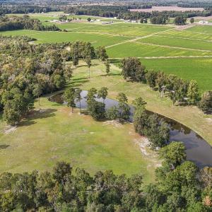 40-web-or-mls-DJI_20241009150722_0390_D