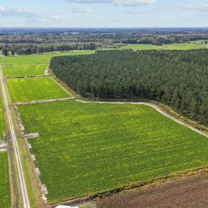 14-web-or-mls-DJI_20241009144406_0344_D