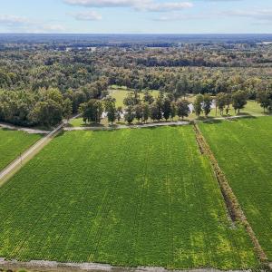 18-web-or-mls-DJI_20241009144757_0355_D