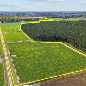 13-web-or-mls-DJI_20241009144406_0344_D_