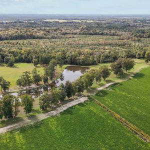 27-web-or-mls-DJI_20241009145219_0371_D