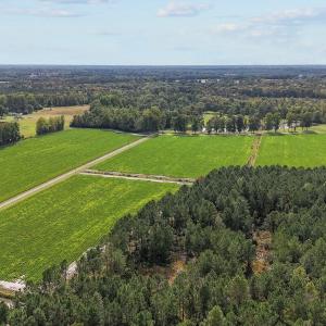 17-web-or-mls-DJI_20241009144733_0354_D