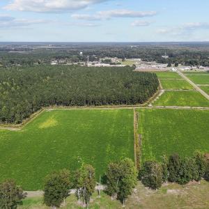 22-web-or-mls-DJI_20241009144946_0363_D