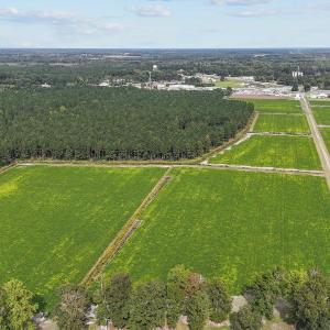 21-web-or-mls-DJI_20241009144929_0361_D