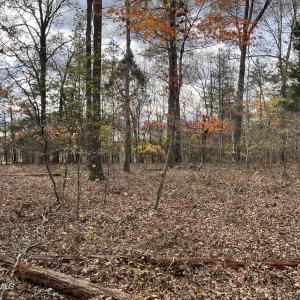 Land,1-000 Deane Beaver Rd