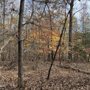 Land,2-000 Deane Beaver Rd