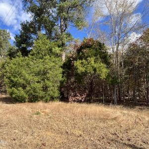 Road frontage,3-000 Deane Beaver Rd
