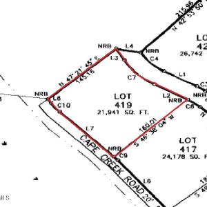 Enlarged Plat