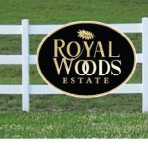 Photo Nov 12 2024, 11 17 12 AM (1)