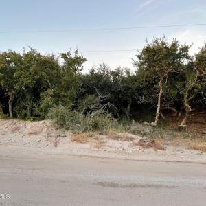 Roadside