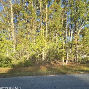 Lot 10 Hollis Drive