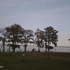 picnic area