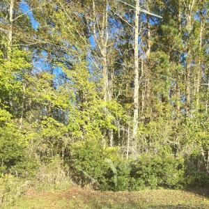 lot 10 view