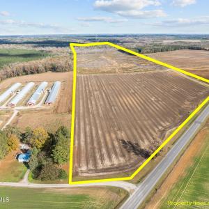 1-web-or-mls-DJI_0320_1