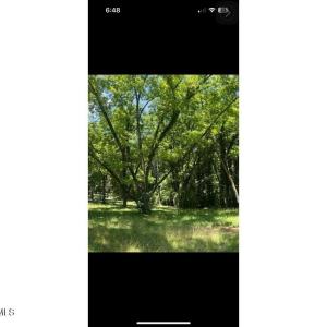 02-Photo 2