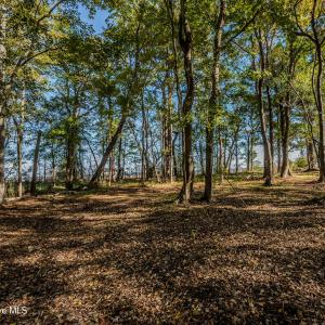 Carve out your homesite