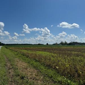 IMG_0512