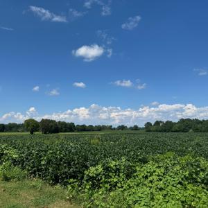 IMG_0514