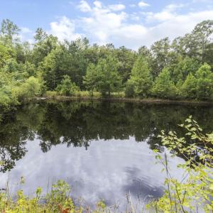 440 Carver Moore Rd pond 2