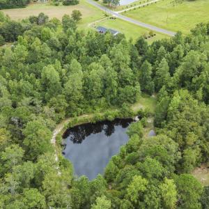 440 Carver Moore Rd pond