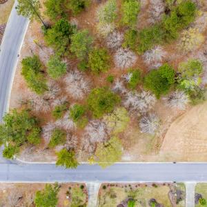 DJI_0565