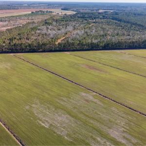5-DJI_20241207094656_0006_D-HDR