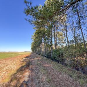 30-IMG_6041