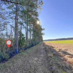 33-IMG_6042-Edit